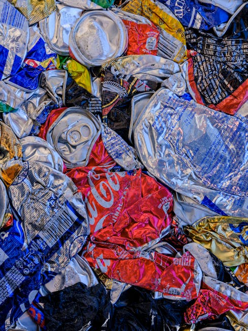 A close-up image of various seashells arranged on a surface, showcasing different shapes, sizes, and textures. The shells include scallops, conchs, and other marine mollusk shells with ridged, smooth,